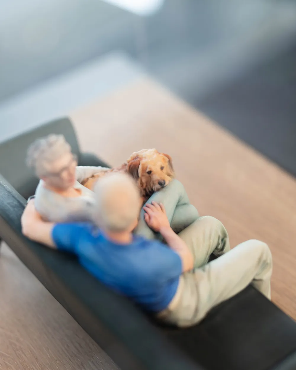 3D sculptuur van een duo met hond op de bank. Focus van de foto ligt op het hoofd van de hond.